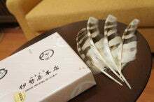 t02200146_0735048812715485375