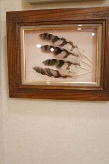 t02200331_0488073512715454048