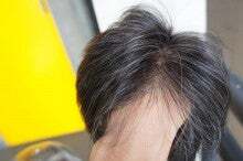 t02200146_0735048812677646684